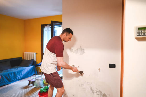Best Kitchen Mold Remediation in Bamberg, SC